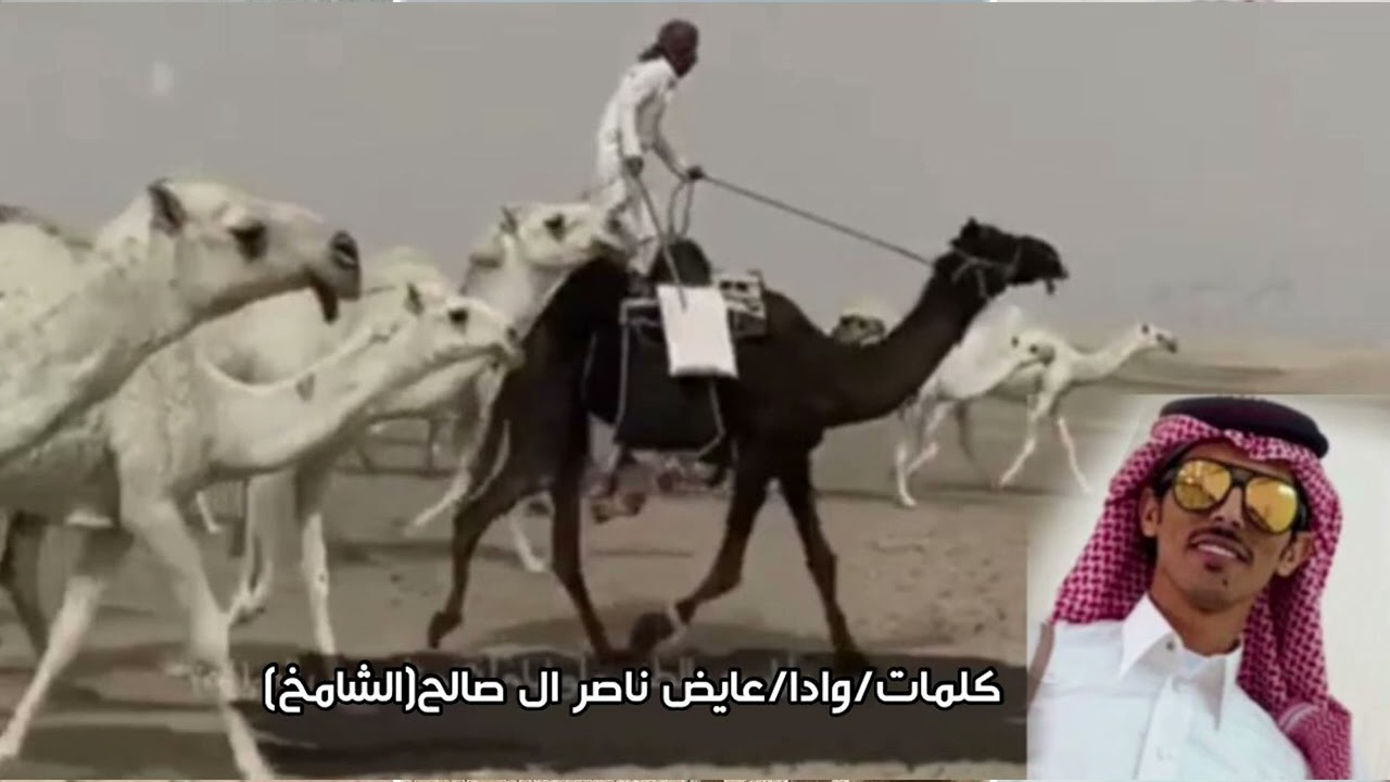 نية الجدعاء - كلمات واداء | عايض ناصر ال صالح ( الشامخ)
