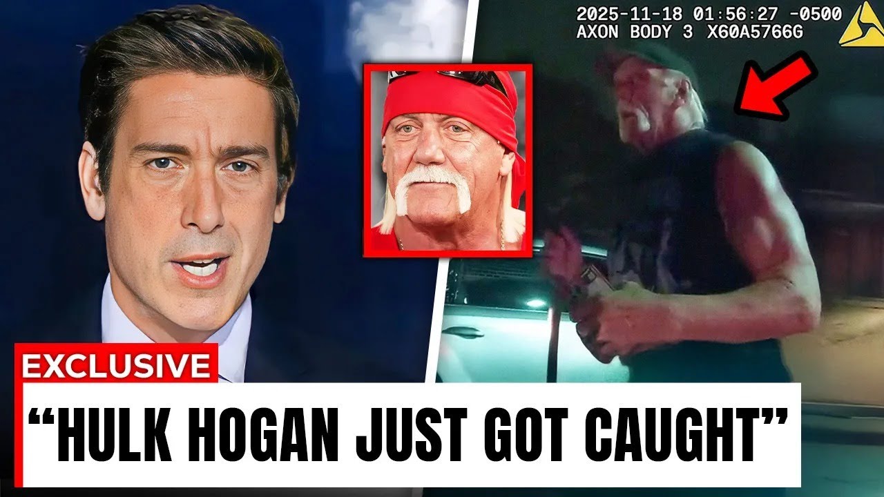 10 Times Hulk Hogan Was Caught on Camera After His Death