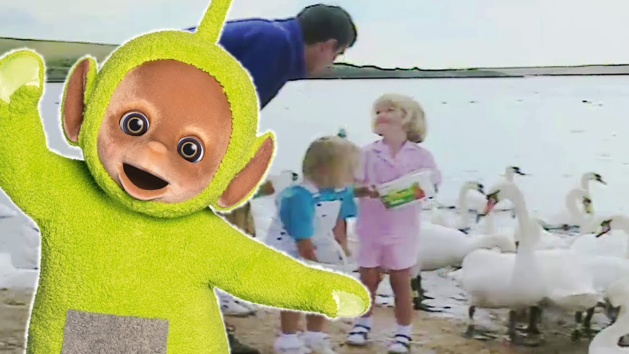De zwanen voeren - Teletubbies Nederlands afleveringen! 3 uur