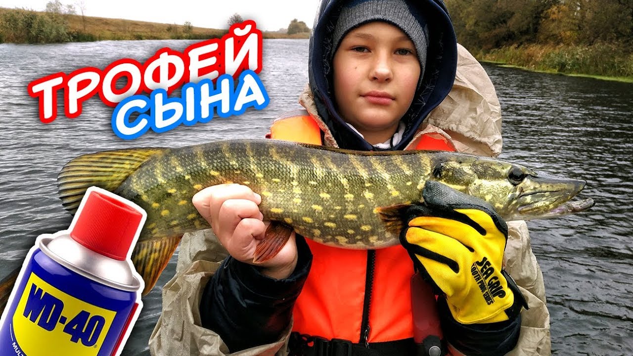 Первый трофей сына! Щука на WD40. Ловля щуки на воблеры! Рыбалка на щуку! | Рыбалка осень 2017