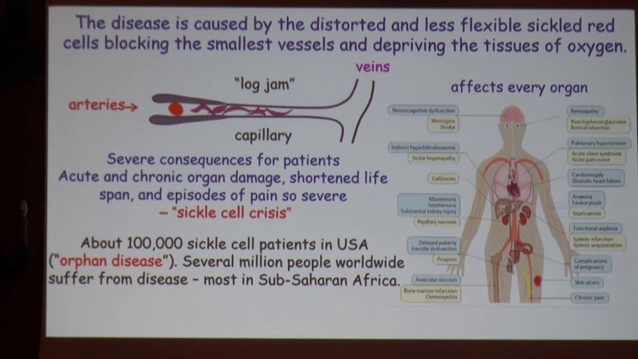 Linus C. Pauling and the birth of molecular medicine