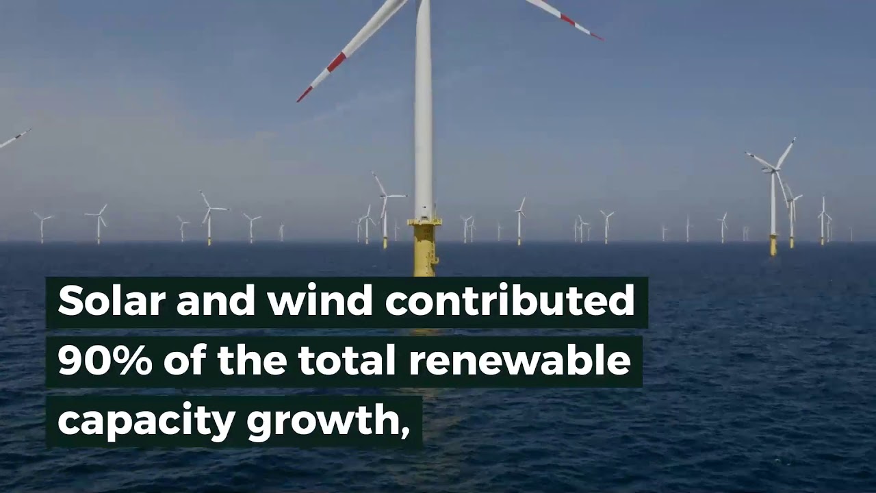 Renewable energy capacity grew in 2019