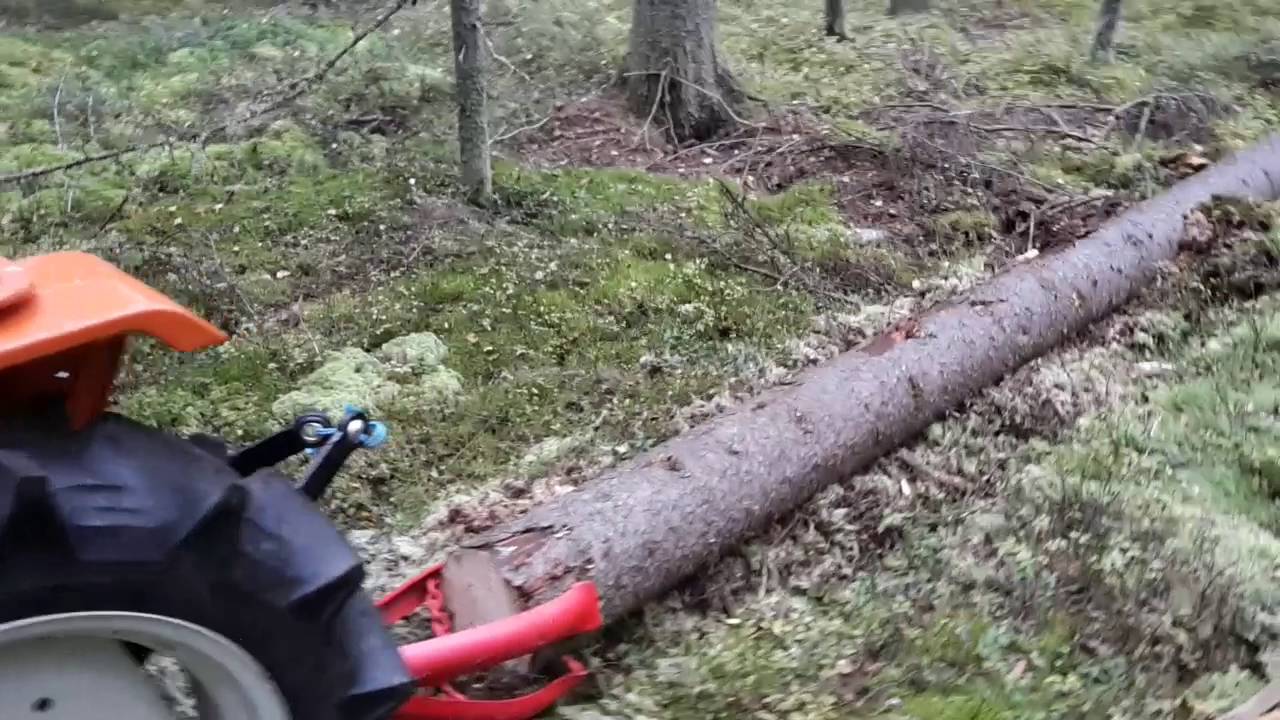 Kubota in forest