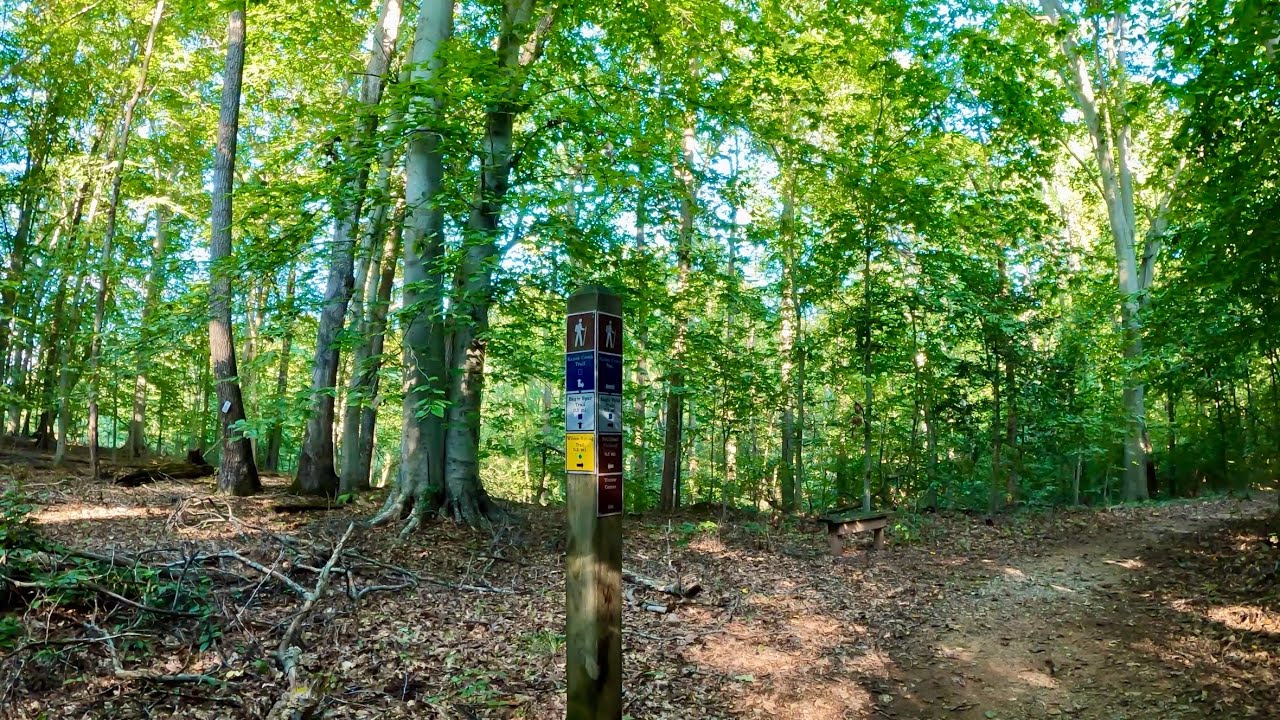 Hiking Kane’s Creek and Eagle Spur Trail at Mason Neck State Park VA