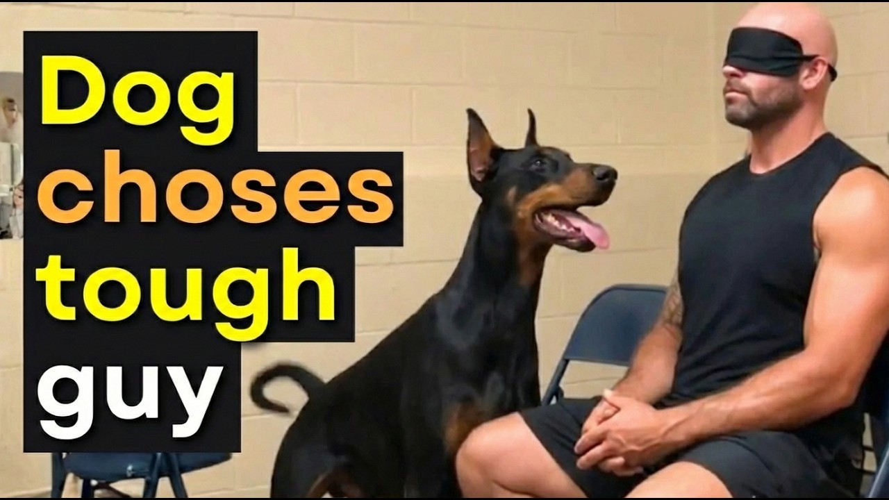 When a Dog Chooses No One…😭 Then This Moment Changes Everything 🐶❤️