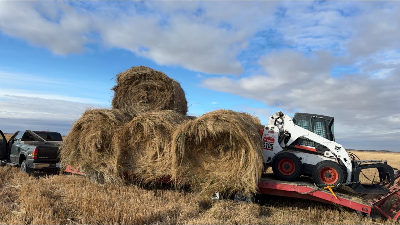 2025 Hay Season Recap