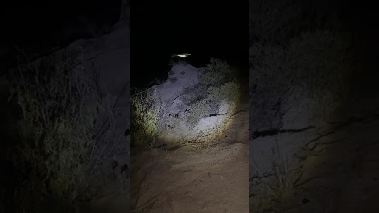 Por la vereda de las Vías del ferrocarril 😨