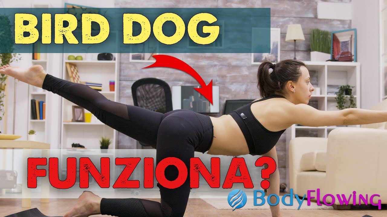 Bird Dog: è realmente efficace?