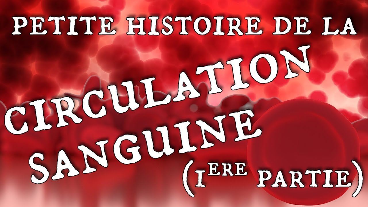 Petite Histoire de la Circulation Sanguine (1/2) - Scientory 18.1