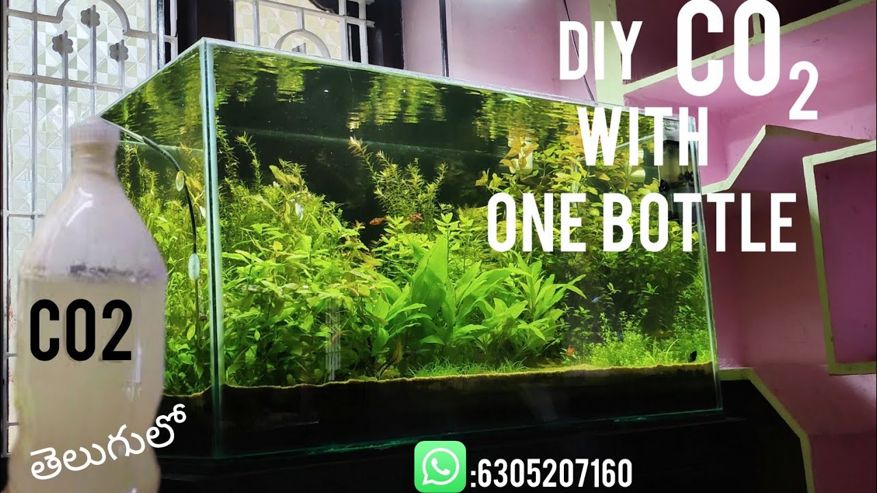 How to make diy co2 for Planted aquarium with one bottle in telugu#yeast+sugar CO2 system in telugu