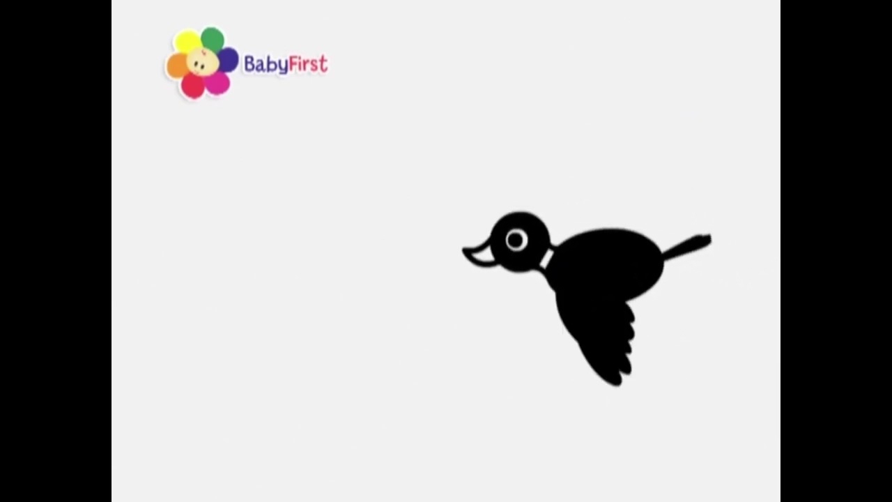babyfirst black and white bird 1