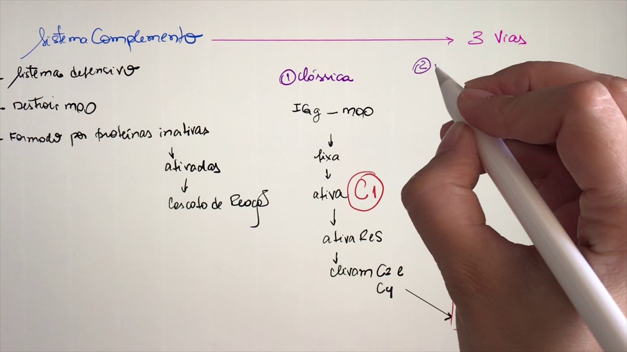 Imunologia- Sistema Complemento