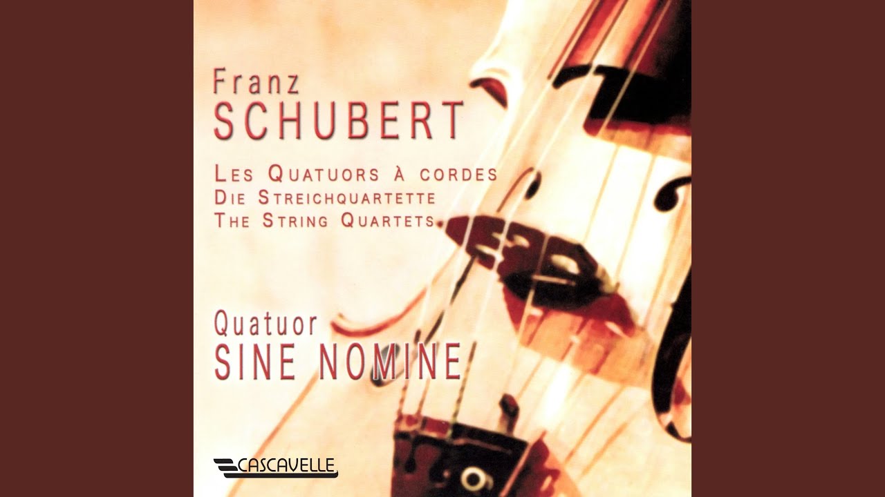 String Quartet No. 1 in B-Flat Major, D. 18: IV. Presto