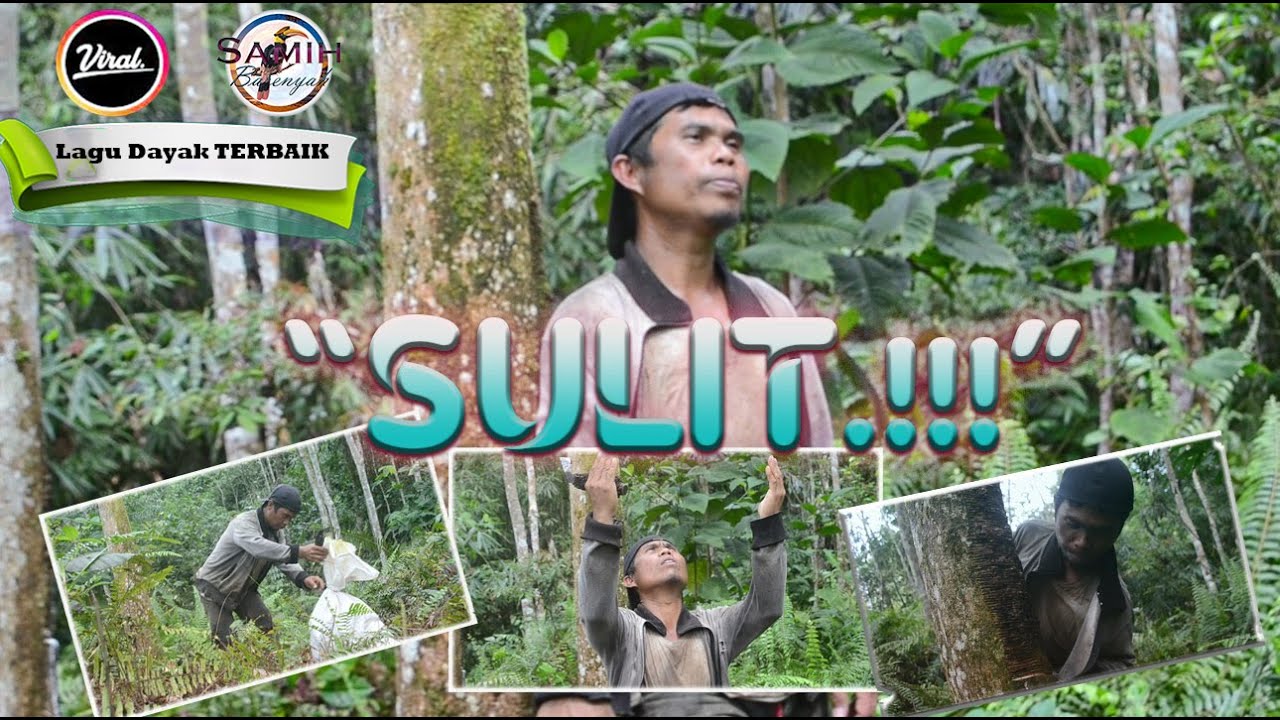 SULIT !! Budi Pancur/Lagu gokil (samih barenyah)