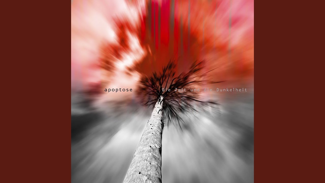 Über allen Gipfeln ist Ruh'