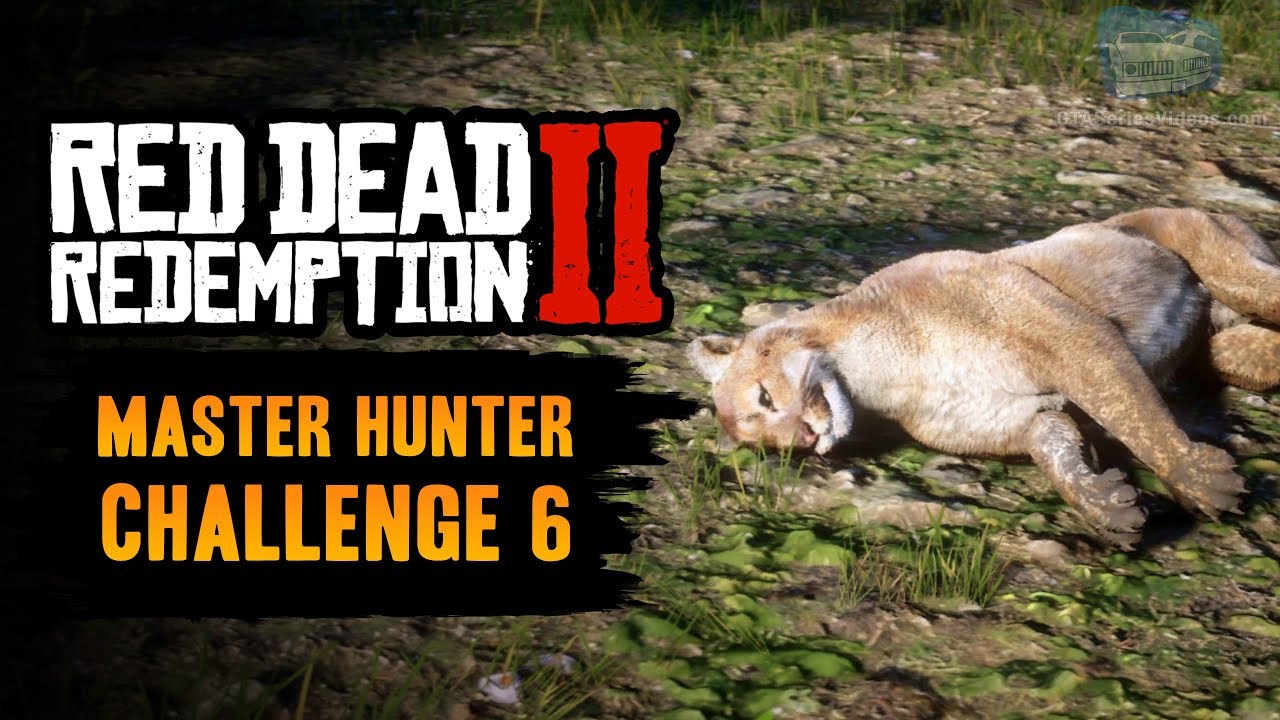Red Dead Redemption 2 Master Hunter Challenge #6 Guide - Kill 5 Cougars with your Bow