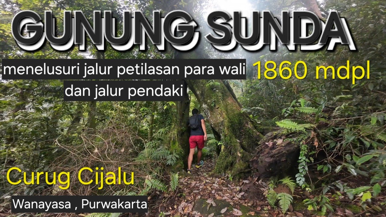Gunung Sunda 1860 mdpl , 02 Juni 2024 Wanayasa Purwakarta