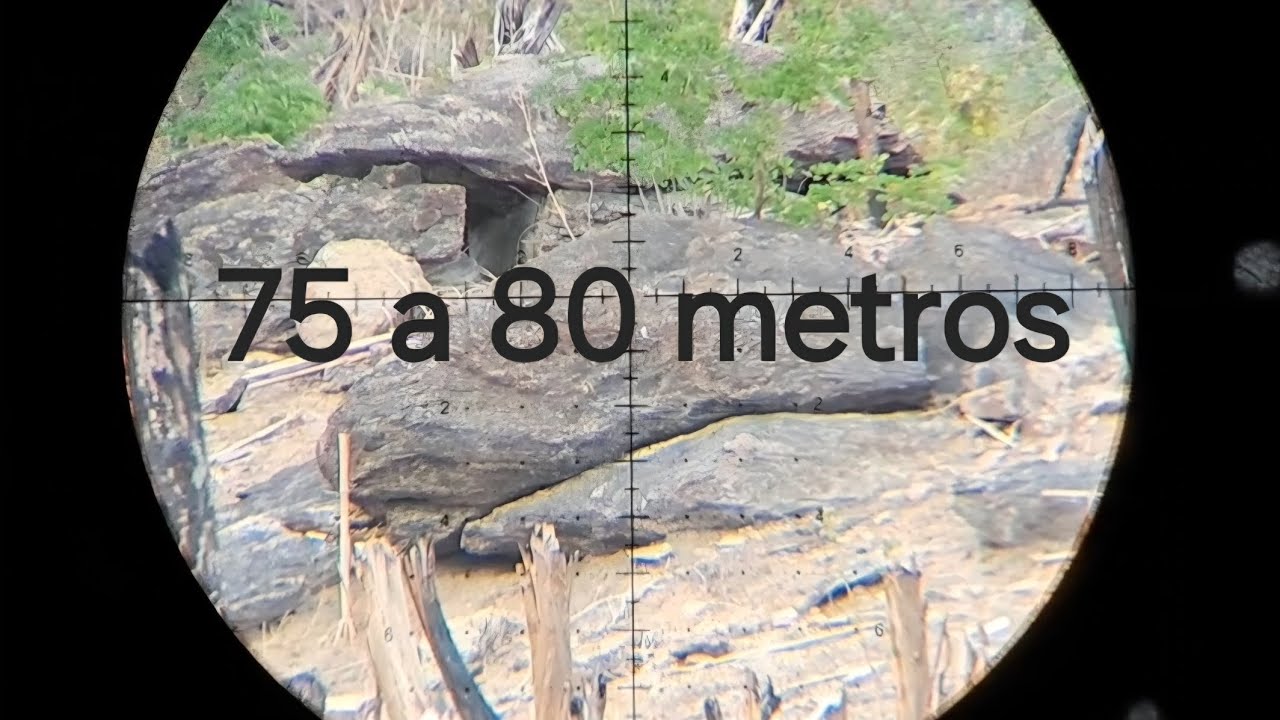 Agrupamento da t-rex bullpup a longas distância 