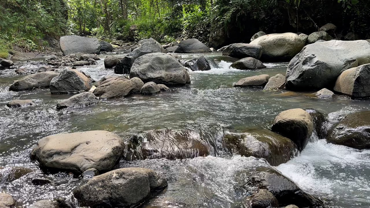 Flowing River Sounds for Fast Sleep 🌊 Natural White Noise for Insomnia Relief