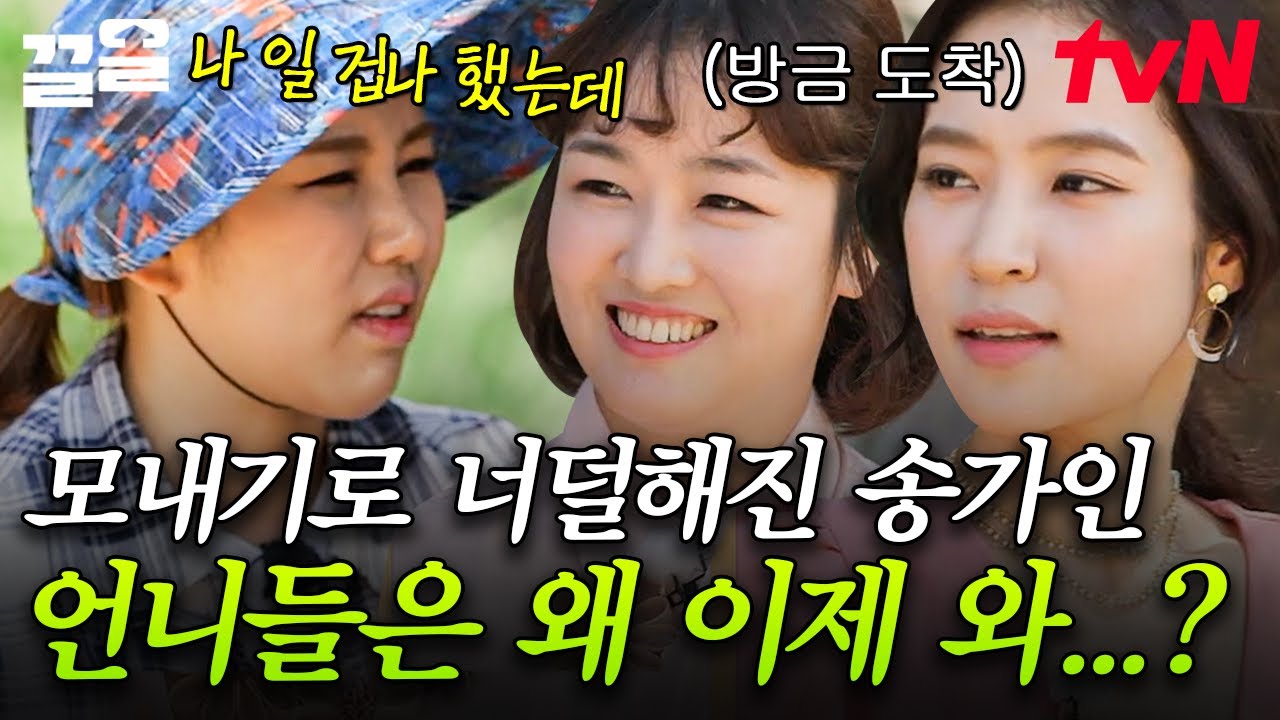 언니들이 왜 '여기서' 나와? 아니라 왜 '이제' 나와! 임ㅋㅋ 대신 트로트 쓰앵님들이 개인 교습해 드려요🎶 | 풀뜯어먹는소리3