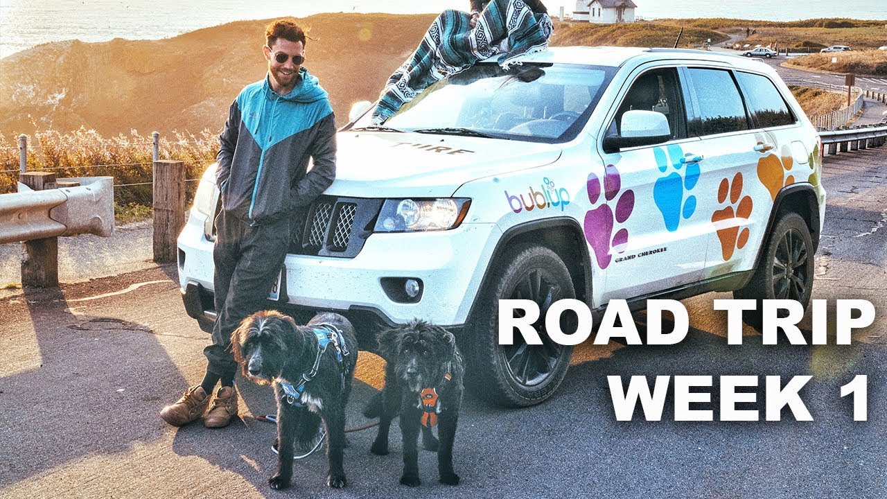 Pet Friendly Road Trip Week 1