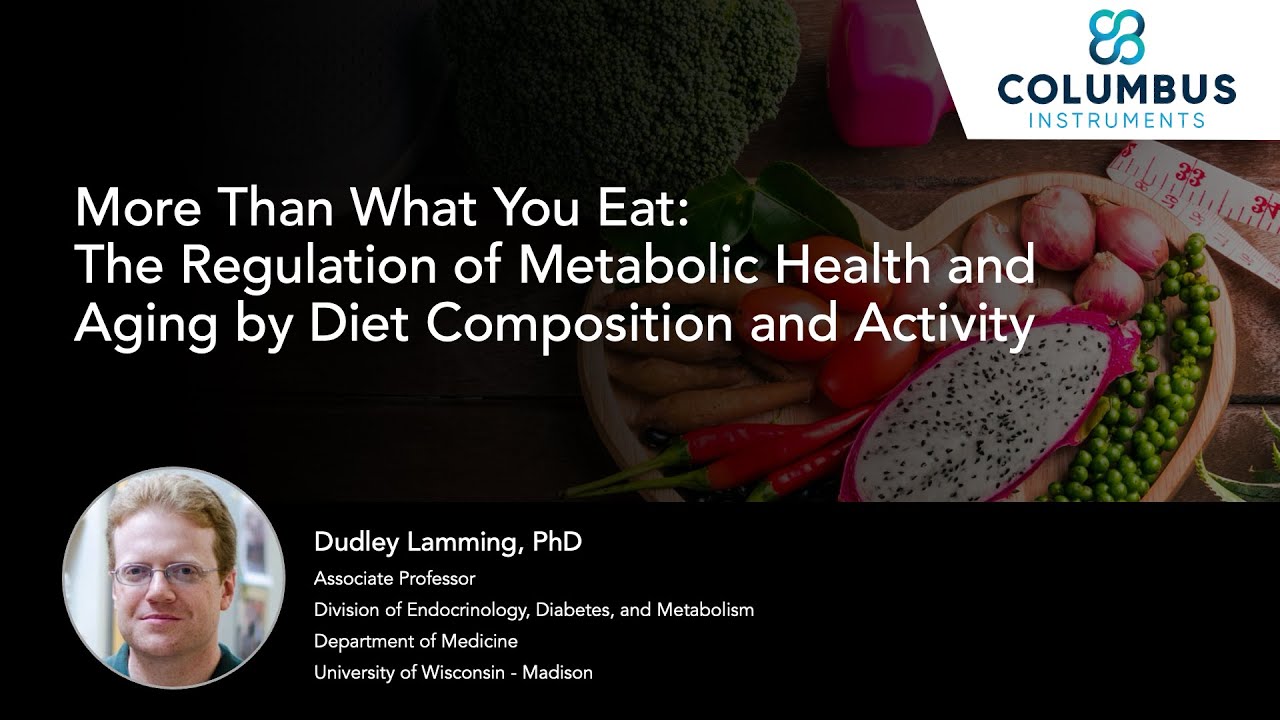 More Than What You Eat: Regulation of Metabolic Health and Aging by Diet Composition and Activity