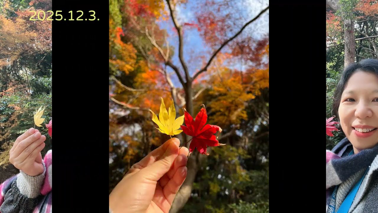 2025 12 3 嵐山渡月橋、天龍寺、野宮神社、嵐山竹林之道、瑞寶寺公園