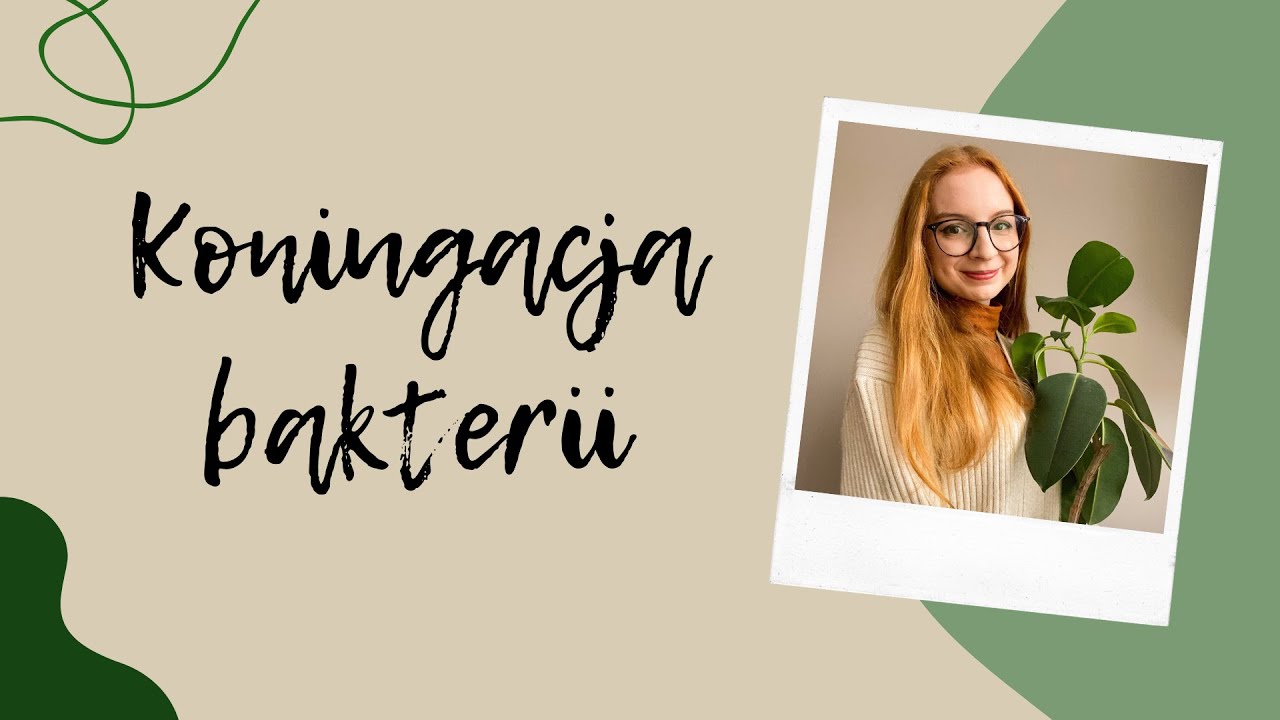Koniugacja bakterii