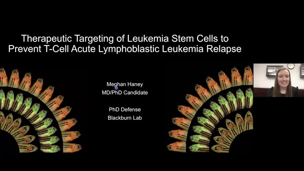 Meghan's PhD Thesis Defense 2021