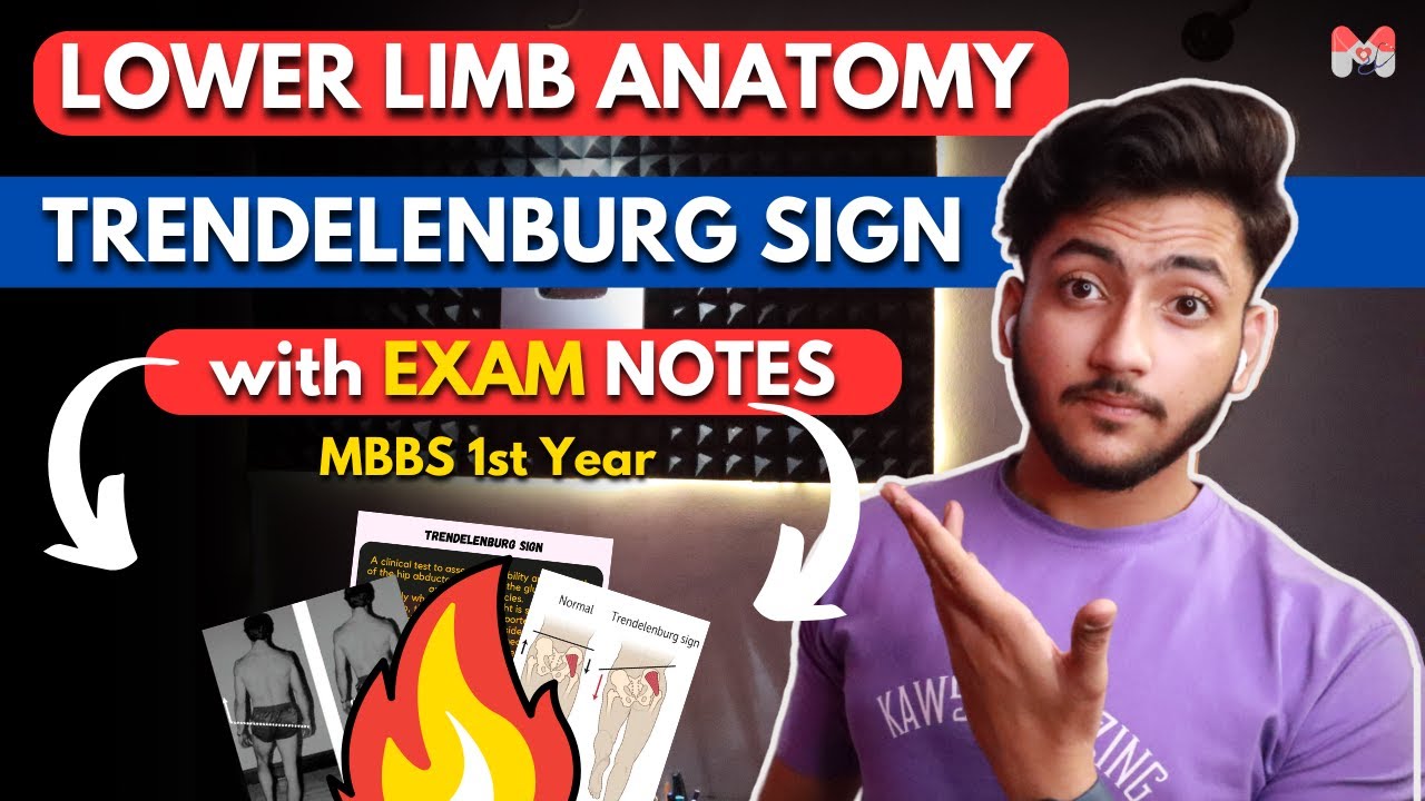 Lower Limb Anatomy- Trendelenburg Sign | MBBS 1st Year | Full Explanation with Notes | MBBS World