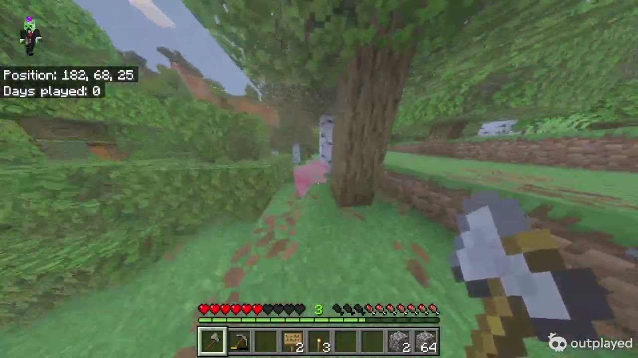 30 minutes of my solo survival world