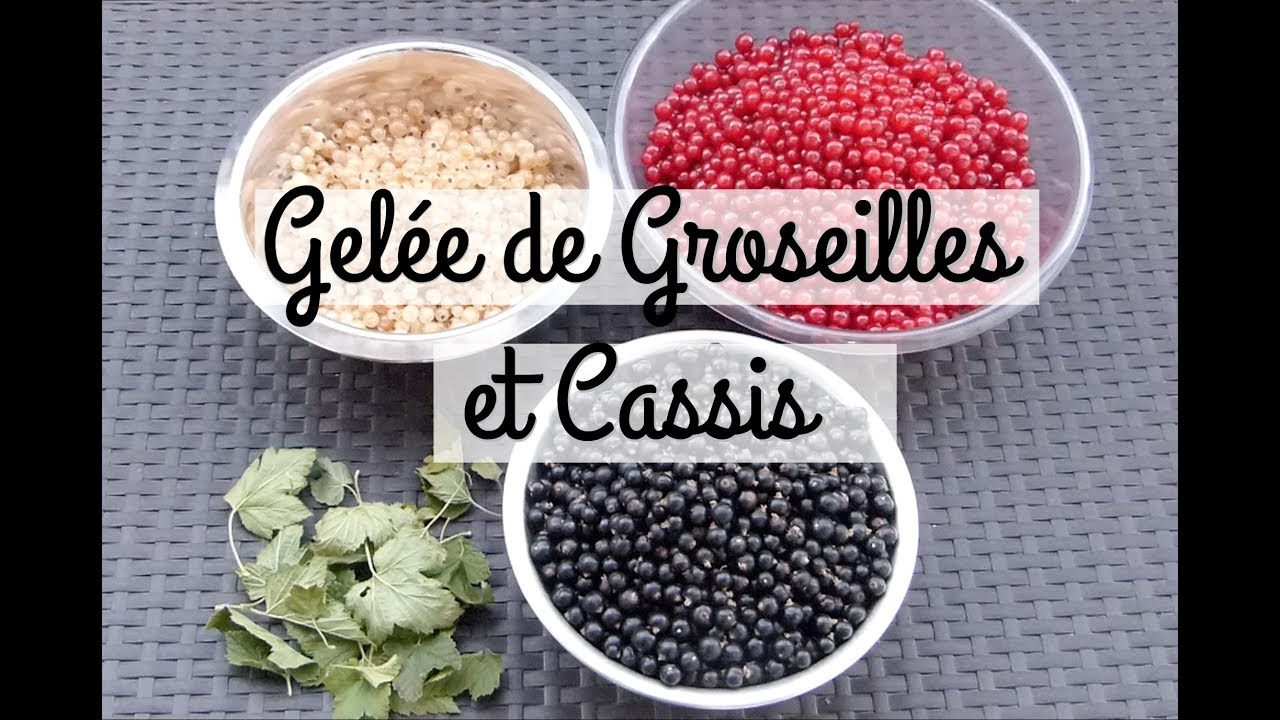 [ Cuisine N°15 ] : Recette : Gelée de groseilles et cassis
