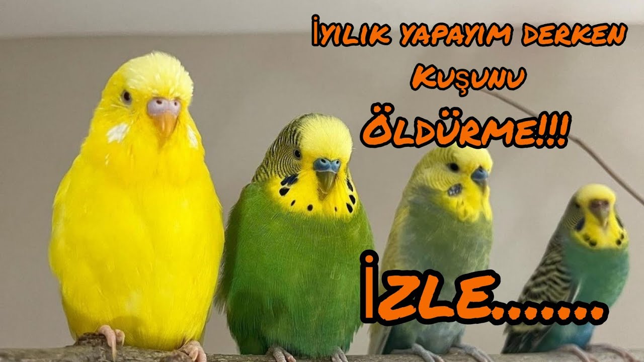 Vitaminler Ne İçin Kullanılır l Hangi Vitamin Ne İşe Yarar l Doğru Bilinen Yanlışlar l Vlog