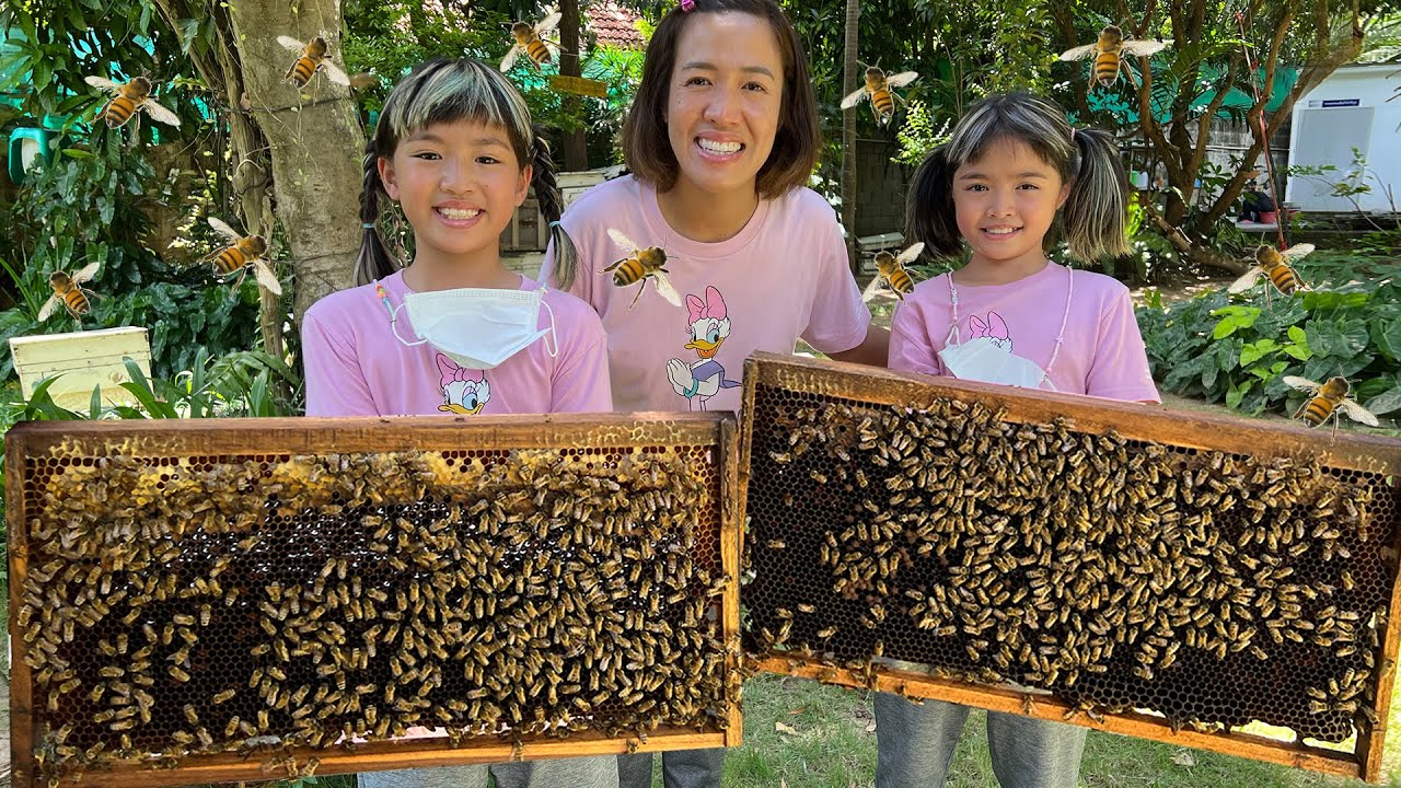 หนูยิ้มหนูแย้มจับรังผึ้ง เที่ยวเชียงใหม่ สุภาฟาร์มผึ้ง