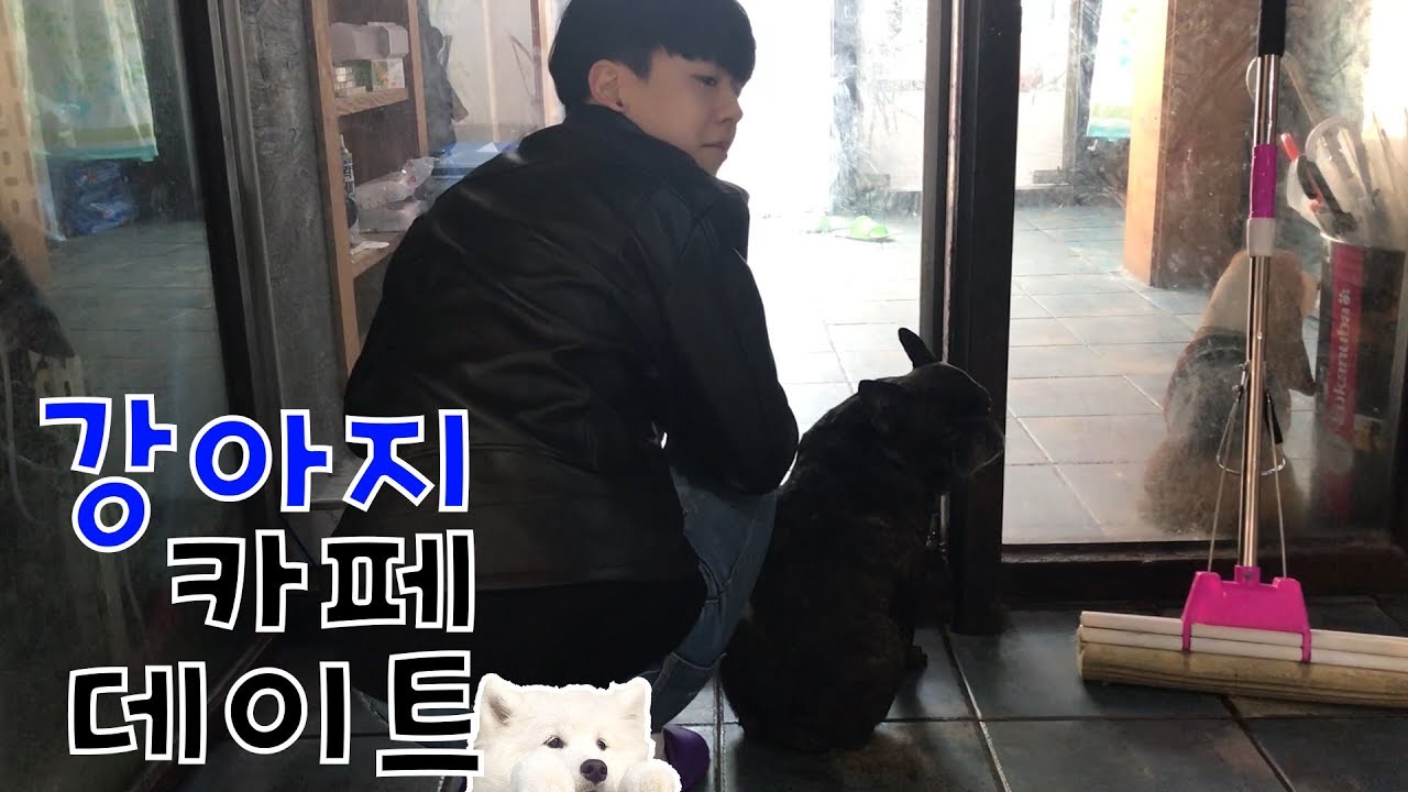 [석준] 석준 여름 강아지카페 데이트 다녀왔어요❤️ (석준 여름 리플s)