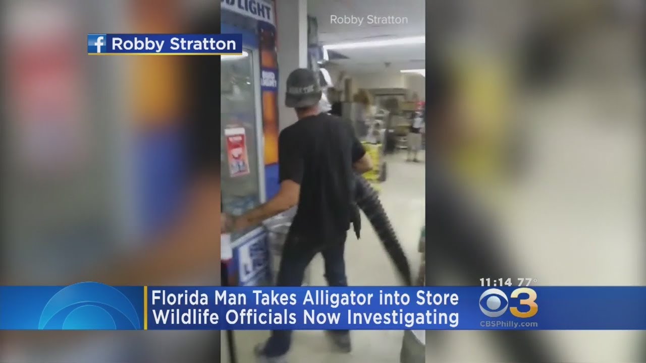 Man Brings Alligator Into Florida Convenience Store As 'Prank'