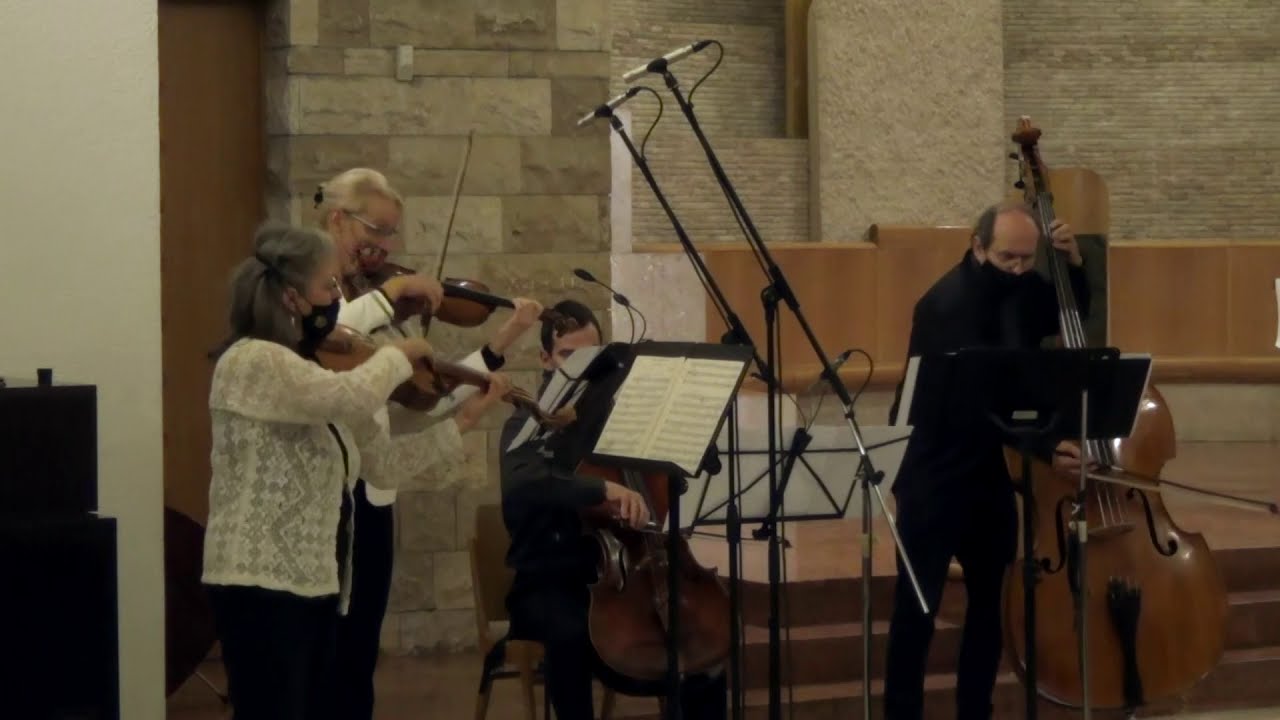 Viola d'amore, Louis Couperin: 3 Fantaisies live concert, Church of Hungarian Saints, Budapest
