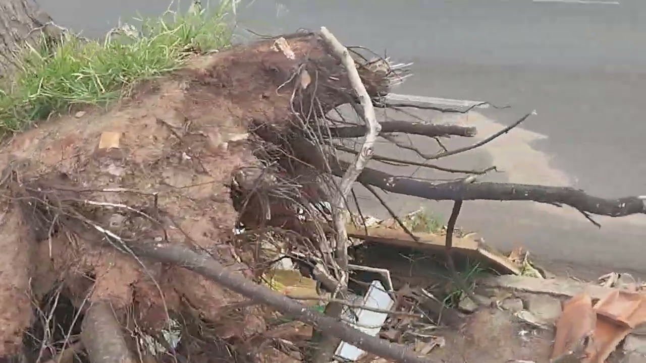 PRAÇA DA CONCHA ACÚSTICA DE ASSIS MORADORES E COMERCIANTES PEDEM PROVIDENCIAS .