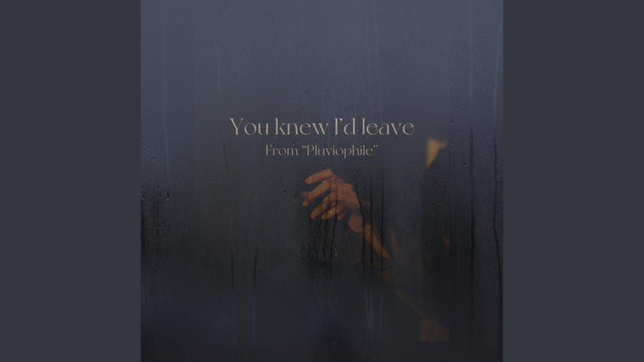 You Knew I'd Leave