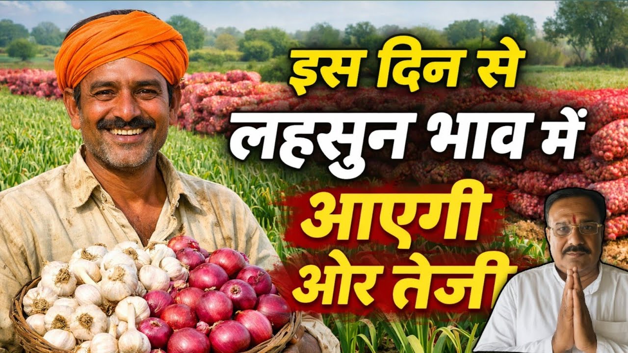 लहसुन में ओर बड़ी तेजी आएगी |प्याज भाव भविष्यवाणी 💯 |दिशा दर्शन ज्योतिष 