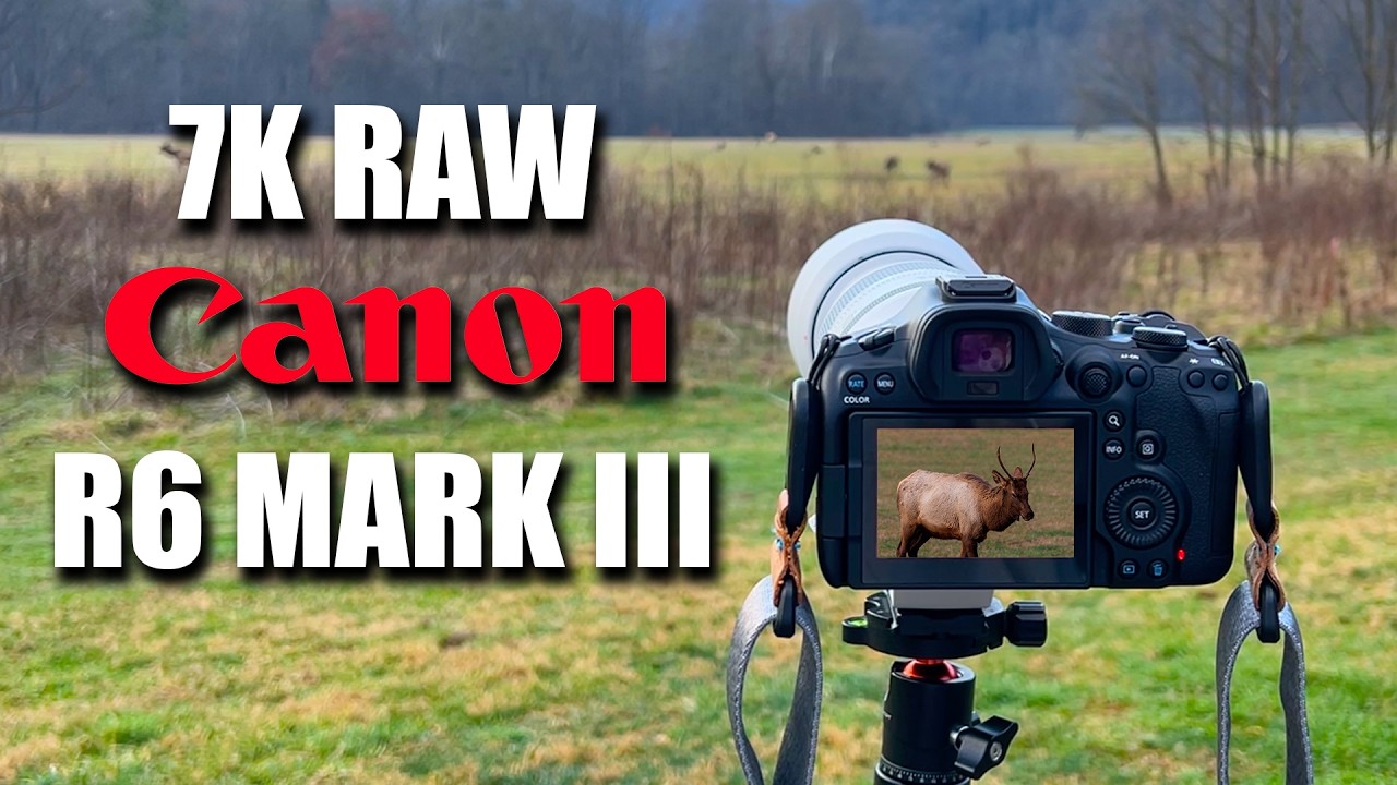 I captured wildlife in 7k Raw! | Canon R6 mark iii