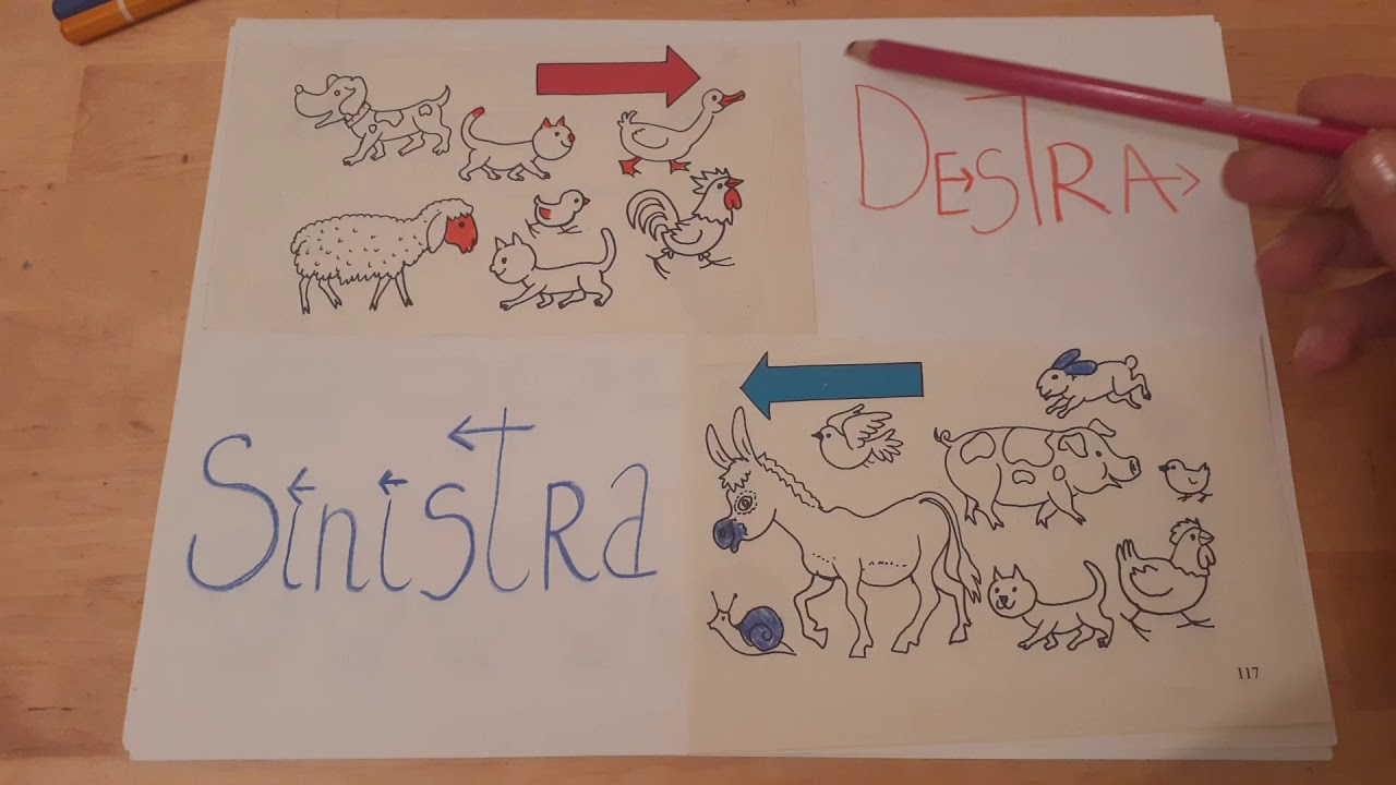 Destra E Sinistra
