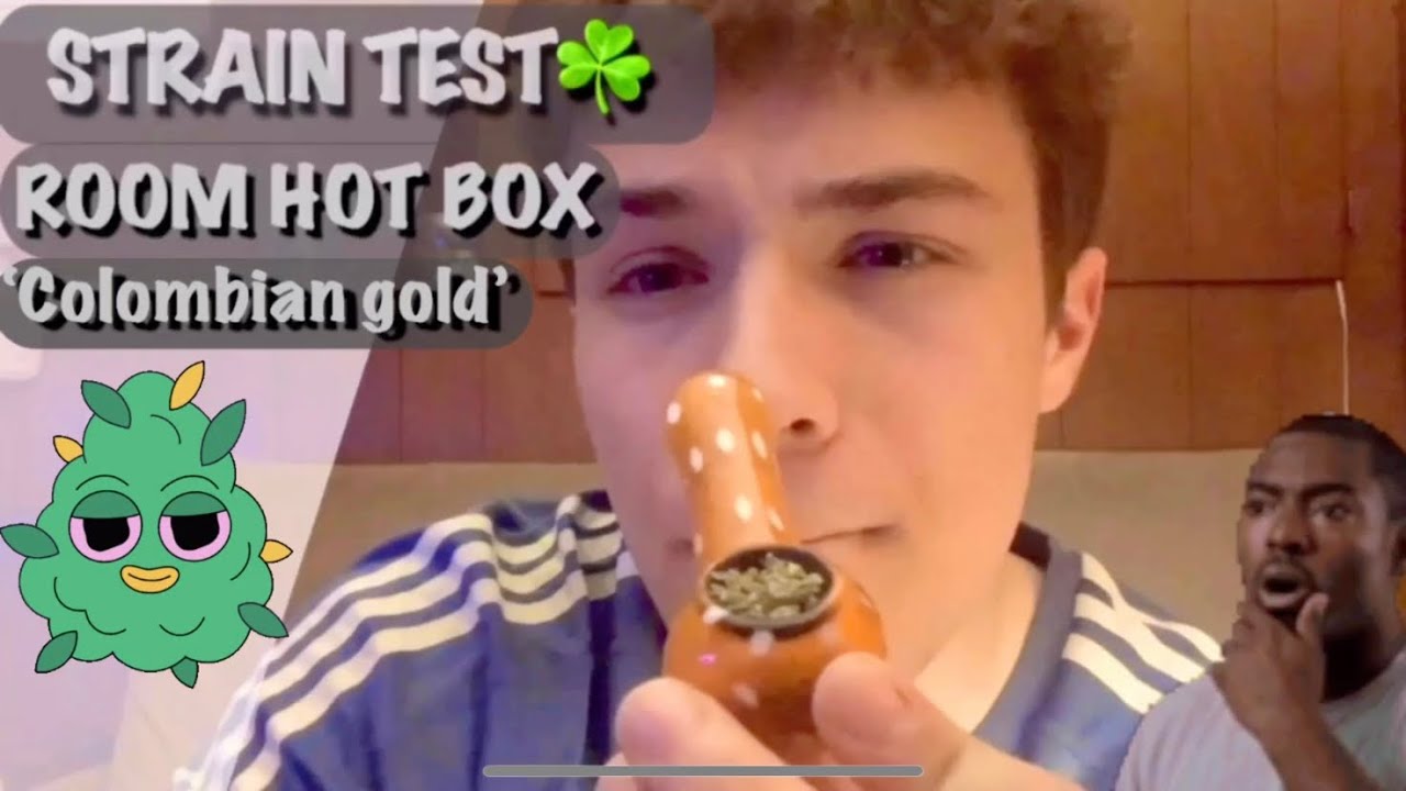 STRAIN TEST: &lsquo;COLUMBIAN GOLD&rsquo;