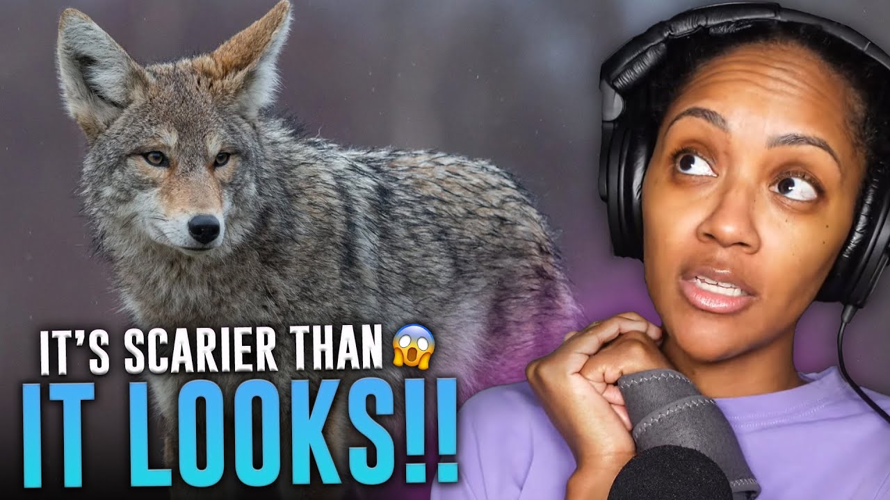 A NEW BREED?! | CASUAL GEOGRAPHIC | The Candid Affairs of the Canine Family | REACTION
