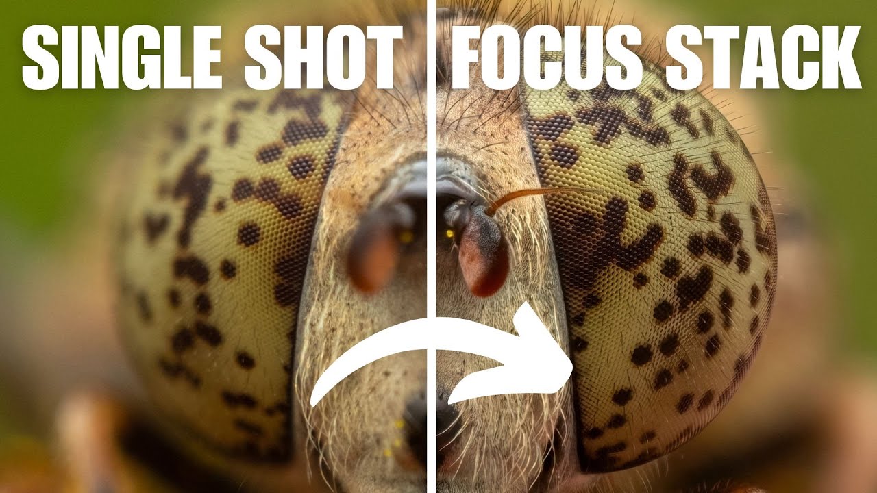 How to Edit Focus Stacks - Focus Stacking Tutorial Part 2