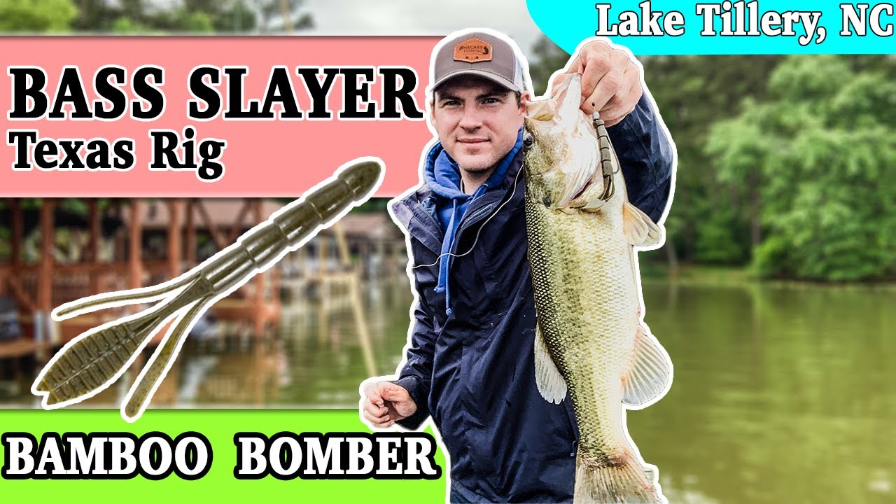 Lake Tillery, NC Spring Bass Fishing: Catching Largemouth on the Texas Rig in Shoreline Vegetation