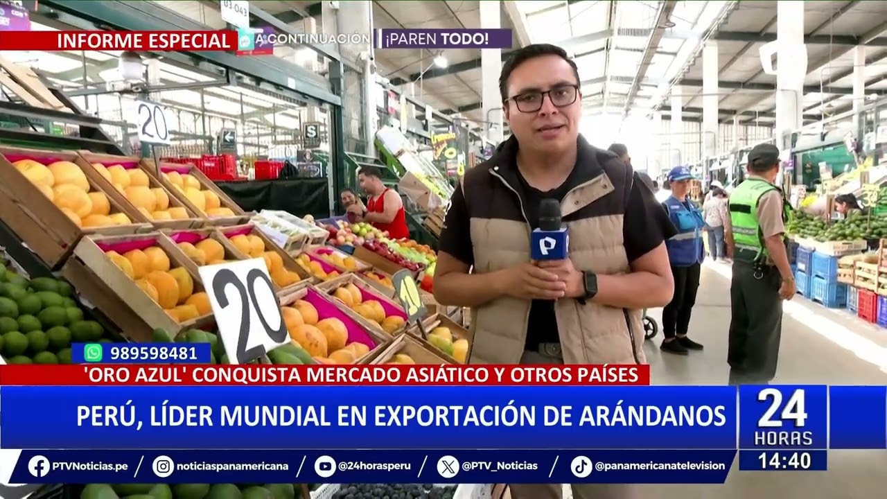 El boom del arándano peruano: Nuestro país lidera la exportación del producto a nivel mundial