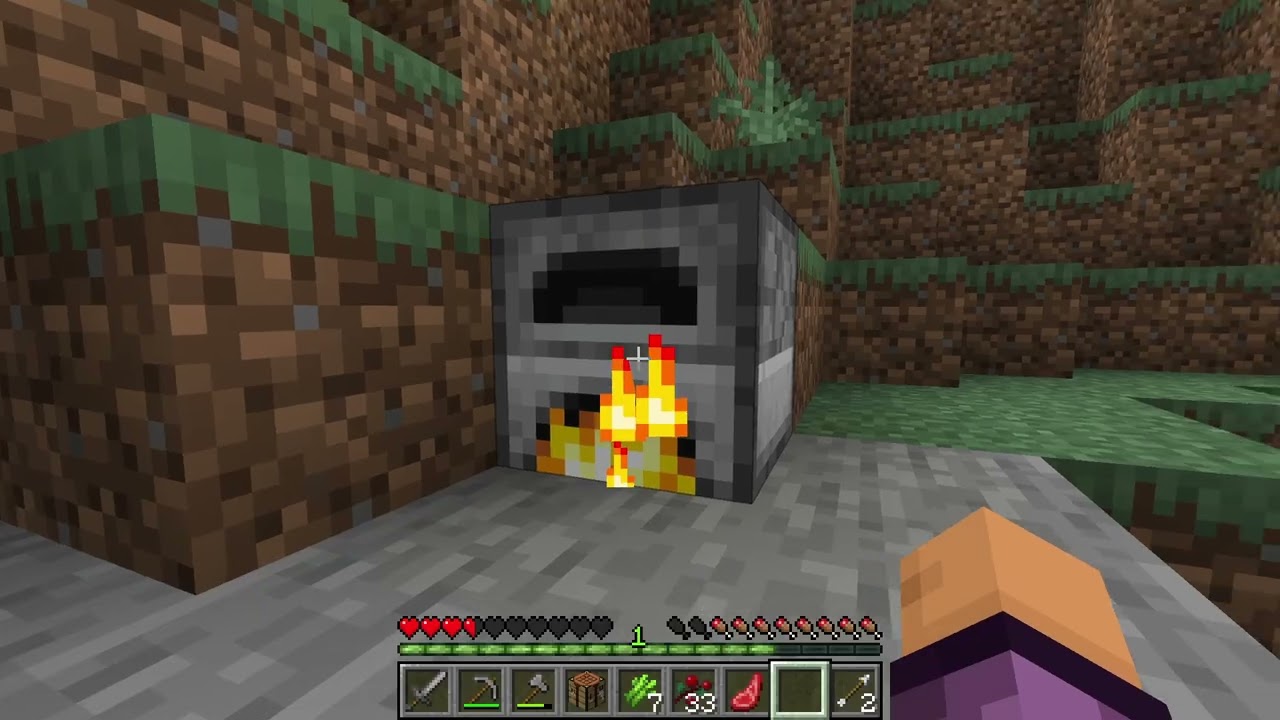Minecraft: The Beginning