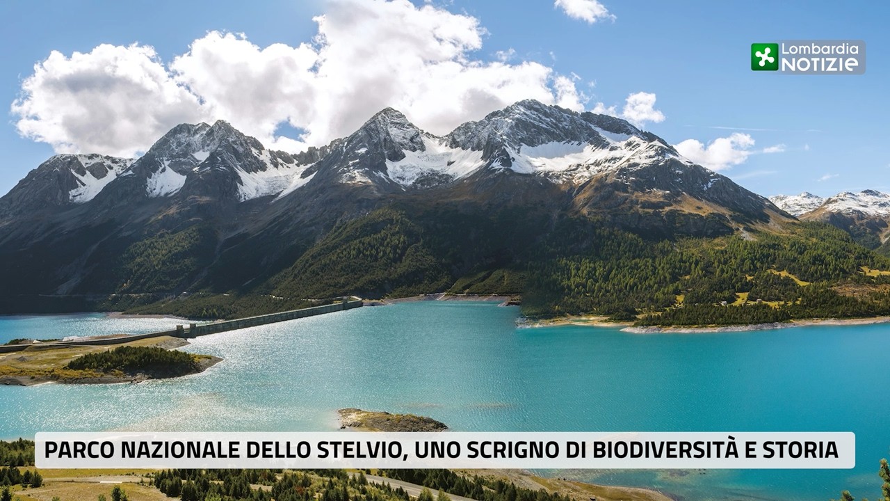 Parco Nazionale dello Stelvio, uno scrigno di biodiversità e storia