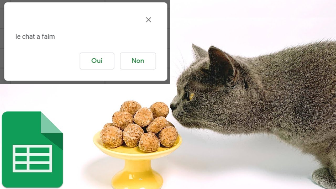Google Apps Script : les messages box pour interagir avec les utilisateurs dans Google Sheets.